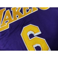 Los Angeles Lakers #6 Lebron James Purple Swingman Jersey - Embroider Edition