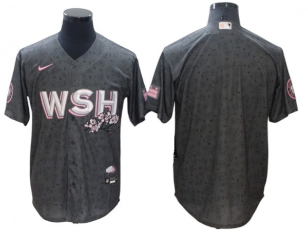 Washington Nationals Blank Gray 2022 City Connect Cool Base Jersey