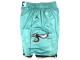 Charlotte Hornets Teal Basketball Shorts