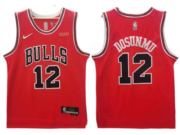 Chicago Bulls #12 Ayo Dosunmu Red Swingman Jersey