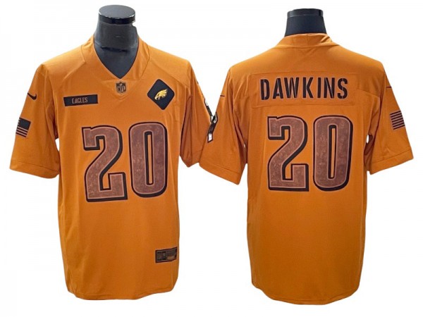 Philadelphia Eagles #20 Brian Dawkins 2023 Salute To Service Limited Jersey